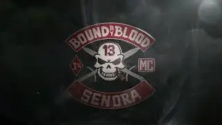 New Logo Reveal Intro/Outro