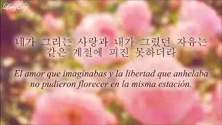 Roy Kim - Have You Imagined? [Sub Español + Hangul]