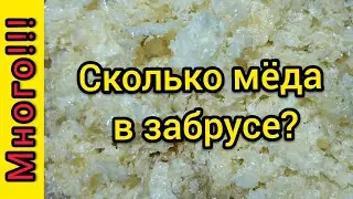 Сколько мёда в забрусе?