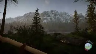 playing the guitar in the peaceful nature of sons of the forest