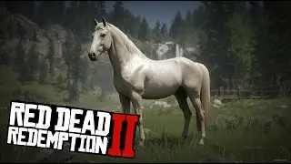 Unique Horses of RDR2 🔥