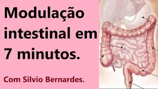 MODULAÇÃO INTESTINAL EM 7 MINUTOS.
