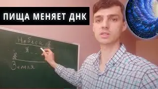 Сыроедение С Молоком И Мёдом | На Заметку Из Вед