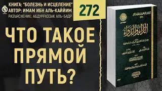 Что такое прямой путь? | Болезнь и Исцеление | Шейх Абдурраззак аль-Бадр | №272