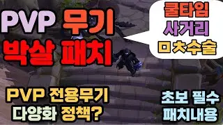 알비온] PVP 무기 너프 수술패치 _ 초보필수