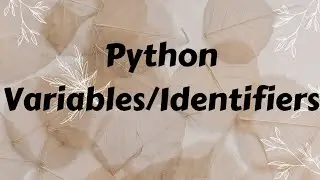 Python variables / Identifiers | Global variables | Local variables | Creative Notes