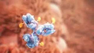 Antibody drug conjugates animation 