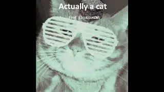 Actually A Cat