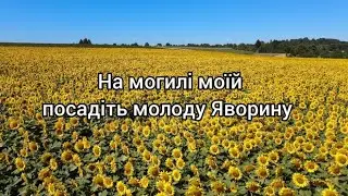 🇺🇦На могилі моїй посадіть молоду Яворину (Слова)/Ремікс/С.Гіга