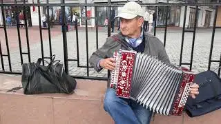 канарейка страдания Москва (Кузьминки) исп Артемьев Тамбов