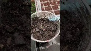 We have growth 