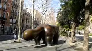Дикая Барселона. День Шестой. Равальский кот