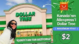 Dollar Tree 🌳 Kanada'nın Aliexpress'ini geziyoruz!