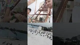 Jivdaya papa ne mummy ae sikhwadi karta 🙏🫶😘😍