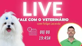 120 | FALE COM O VETERINÁRIO - Live gratuita para você perguntar tudo sobre seu cachorro ou gato!