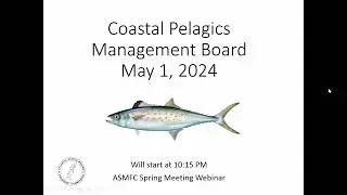 Coastal Pelagics Board Proceedings May 2024