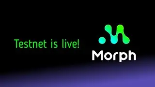 Morph Testnet Tutorial - Morph L2 Testnet