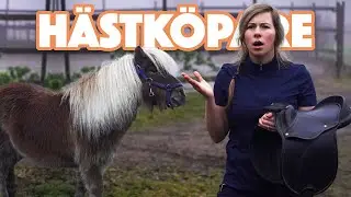 HÄSTKÖPARE