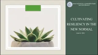 Guidance Webinar: Cultivating Resiliency in the New Normal