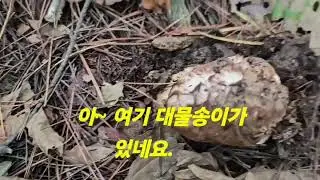 2024년 10월 25일