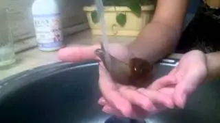 Улитка принимает душ!