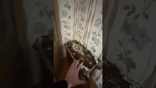 31 декабря 2023 г.