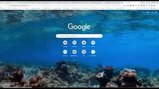 4   Wordpress com Examples