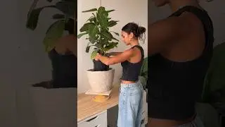 making a pot #pottery