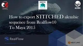 Realflow10 Export Stitched alembic for Autodesk Maya