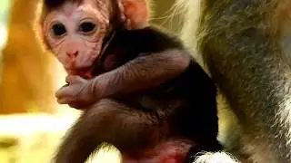 Really danger cos put finger into eye of baby,Seem destroy baby life, Do not do this