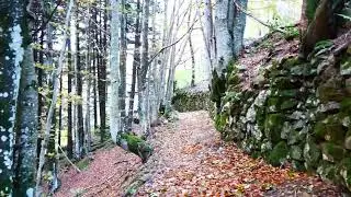 On The Nature of Daylight . Max Richter. Autunno