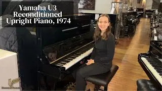 Reconditioned Yamaha U3 Upright Piano, 1974 | Review & Demo | Sherwood Phoenix
