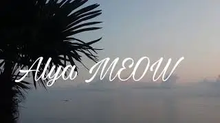 Vlog: Моменты из Сочи | Alya MEOW 🐱🦄