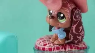 My LPS answer your questions! [2k Special]