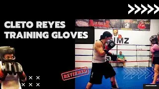 Cleto Reyes Training Gloves Review