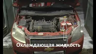 Жидкости под капотом автомобиля. Жидкость системы охлаждения двигателя - Антифриз.