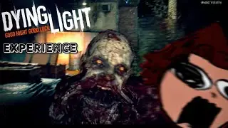 THE DYING LIGHT EXPERIENCE...