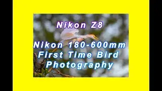 Nikon Z8,Nikon 180 600mm Lens 1st time bird photography