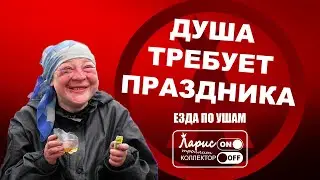 Праздник каждый день | Как разговаривать с коллекторами