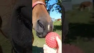 А И НЕ СТРАШНО )Нашла чем напугать)) 