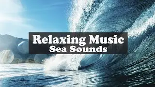 Relaxing Music and Sea ​​Sounds  ♫ Relaxing Meditation Music ♫ Calming Sea Waves 🌊
