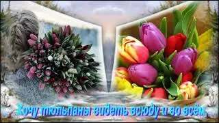 А уже почти Весна !