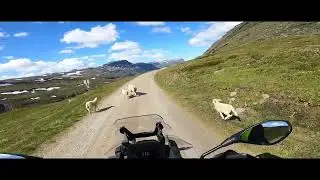 Exploring the Norwegian Mountain Road near Birtavarre in Troms