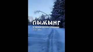 Лыжынг 27 января 2024