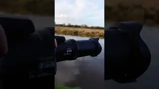 The Nikon Coolpix P1000 Zoom Is Crazy!