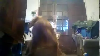 Тутутуту Let's Go тутутуту тутутуту как моя собака играется с мячиком!!!!!!!!!