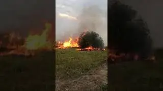Пожар в Челябинской обл. галазами МЧС. Горит степь...