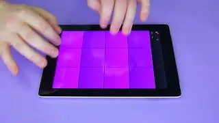 Uncontrollable Renegade - 12 DUBSTEP PADS