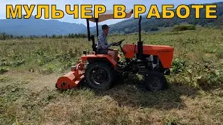 Мульчер в работе - молотковая косилка