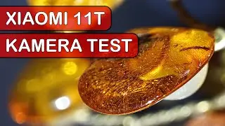 Xiaomi 11T: Die Kameras im ausführlichen Test